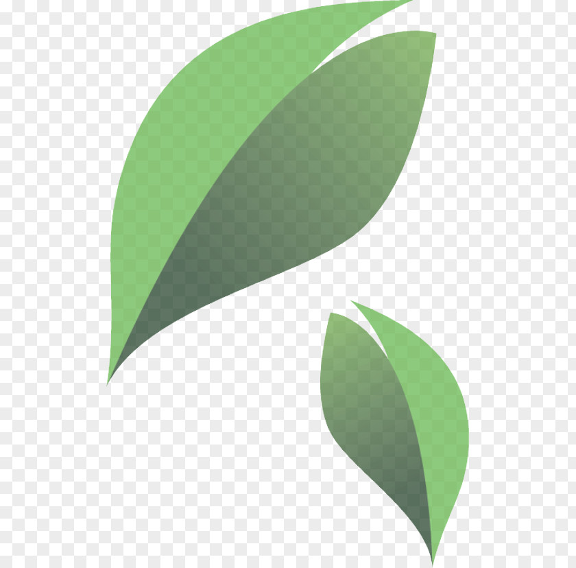 Flower Logo Leaf Green Plant Clip Art PNG