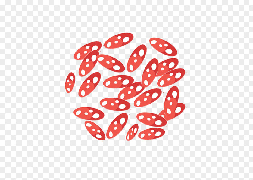 Line Point Clip Art PNG