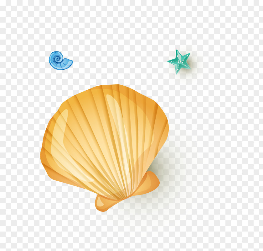 Pearl Shell Seashell Shellfish Orange PNG