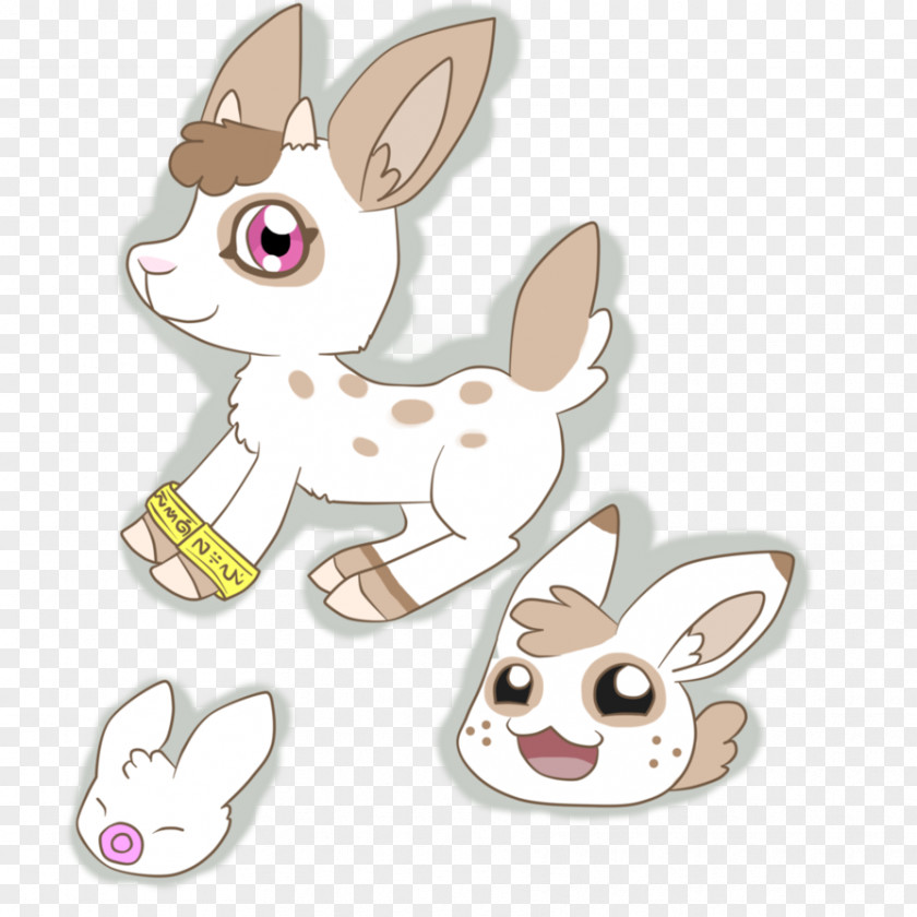 Rabbit Domestic Hare Easter Bunny Whiskers PNG