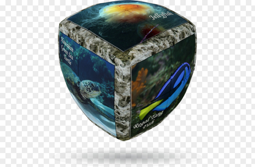 Sea World V-Cube 7 Rubik's Cube Puzzle PNG