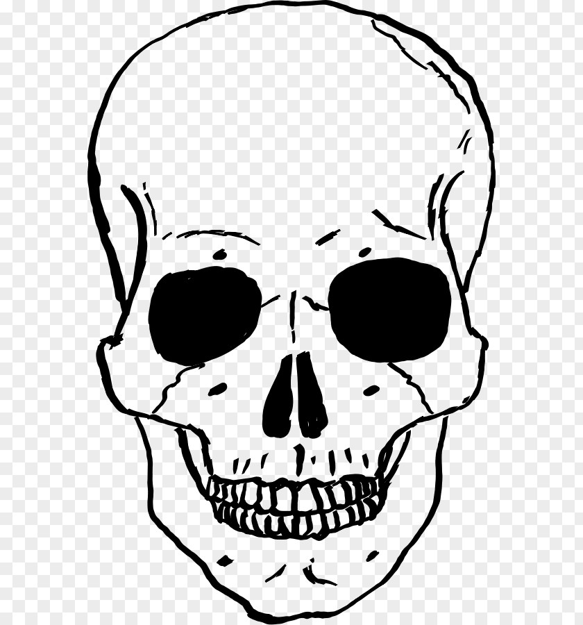 Skull Cliparts Clip Art PNG