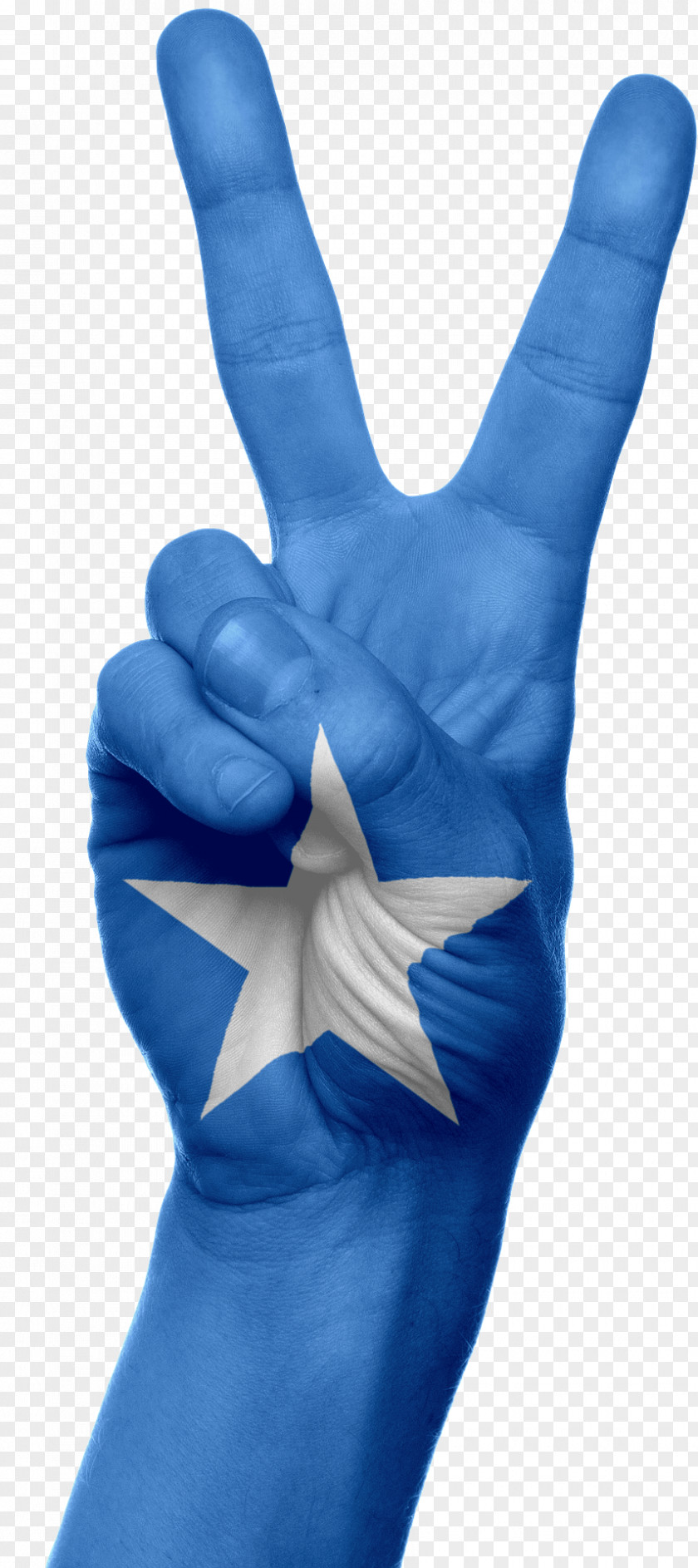 Somalia Somalis Ethiopian–Somali Conflict PNG