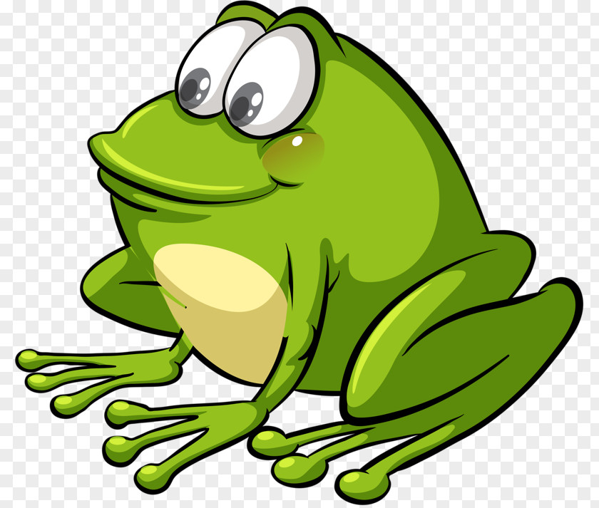 Cartoon Frog Flashcard Royalty-free Clip Art PNG