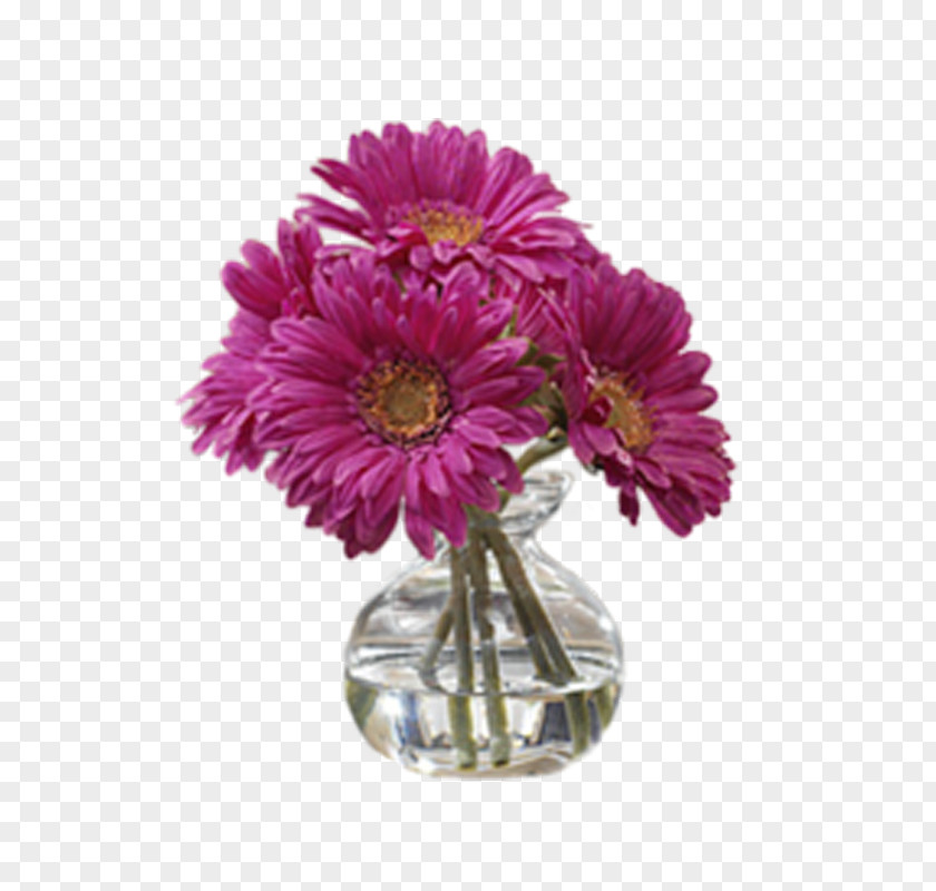 Chrysanthemum Flower PNG