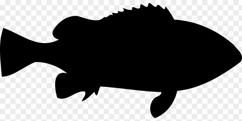 Fishing Silhouette Drawing Clip Art PNG