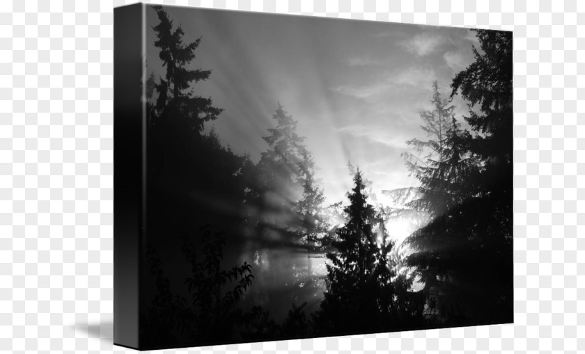 Light Picture Frames Gallery Wrap Canvas Desktop Wallpaper PNG
