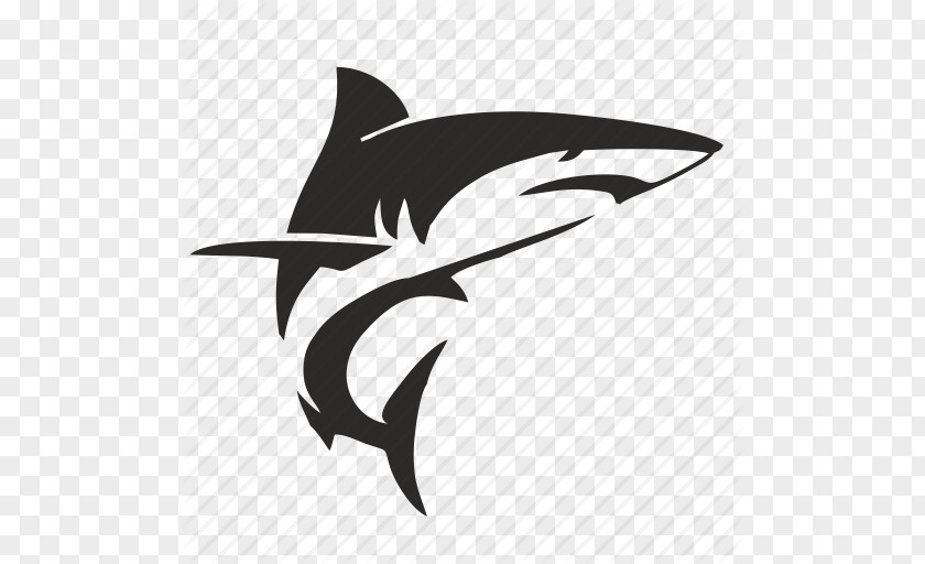 Shark Save Icon Format Iconfinder PNG