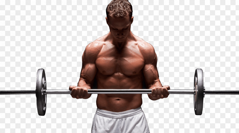 Athlete Physical Fitness Weight Training Exercise Personal Trainer Bodybuilding PNG