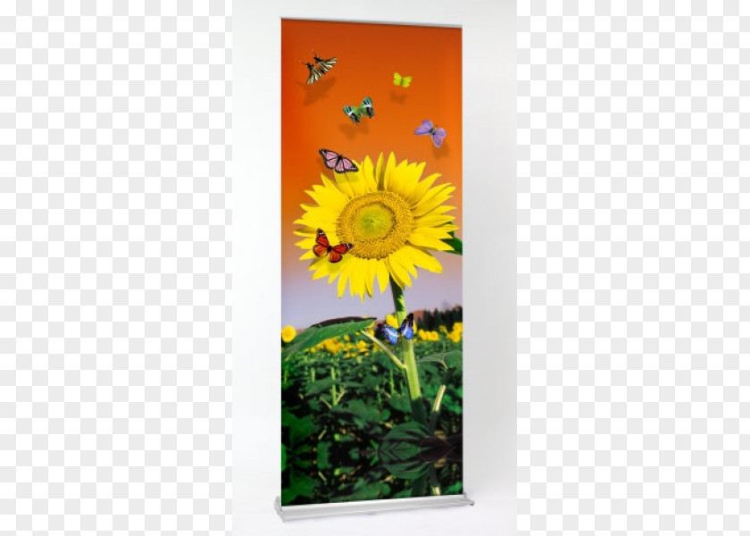 Company Roll-up Banner Printing Web Advertising PNG