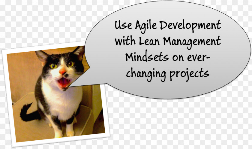 Dog Whiskers Agile Software Development Project Management PNG