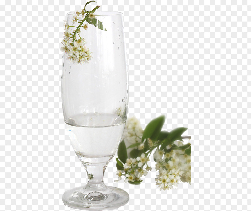 Jasmine Cup Material Free To Pull Cocktail Wine Glass Drink Jasminum Nudiflorum PNG