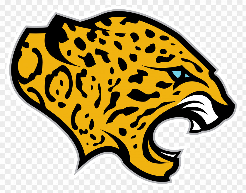 Junior Varsity Team Mill Valley High School Jacksonville Jaguars National Secondary Student PNG