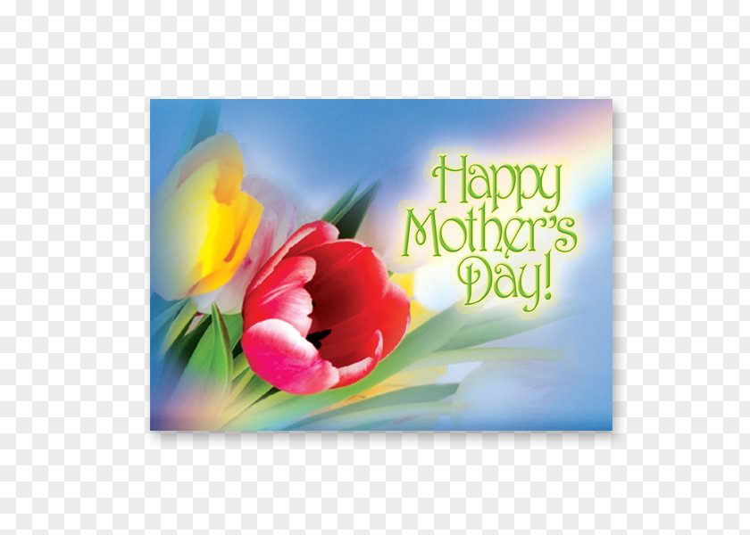 Mother's Day Greeting & Note Cards Tulip Gift PNG