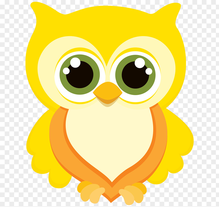 Owl Little Drawing Infant Centrepiece PNG