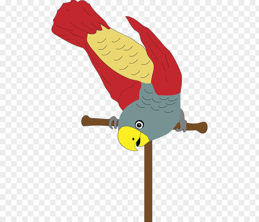Colored Parrot Bird Yellow Perch Clip Art PNG