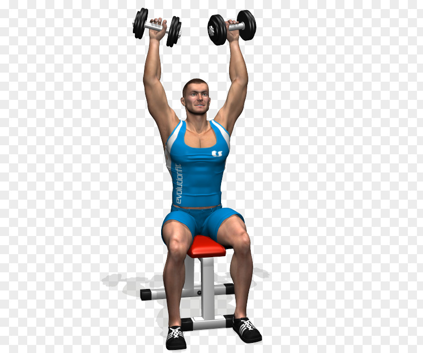 Dumbbell Weight Training Exercise Overhead Press Fly PNG