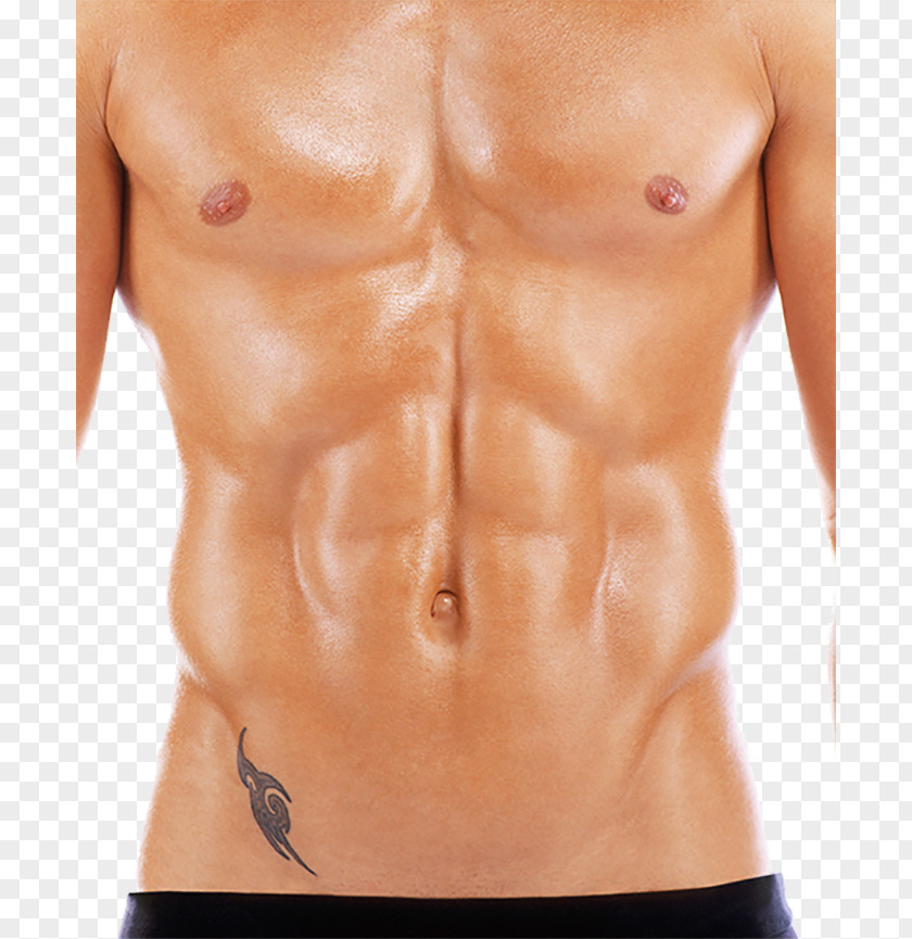 Fitness Coach Abdomen Waist Rectus Abdominis Muscle Sit-up PNG