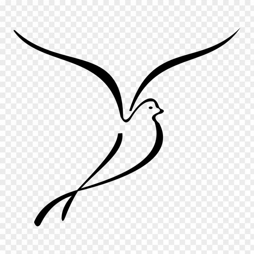 Hand Painted Dove Drawing Coloring Book Line Art Black And White Clip PNG
