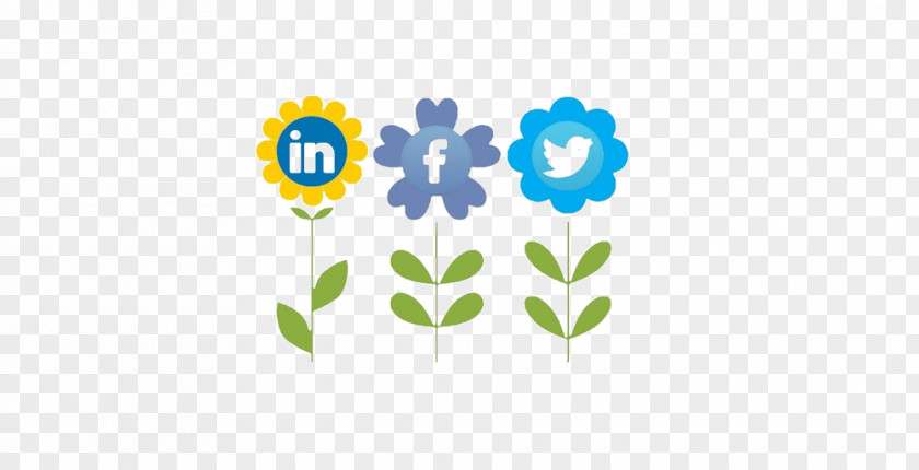 Min Social Media Marketing Blog Digital PNG