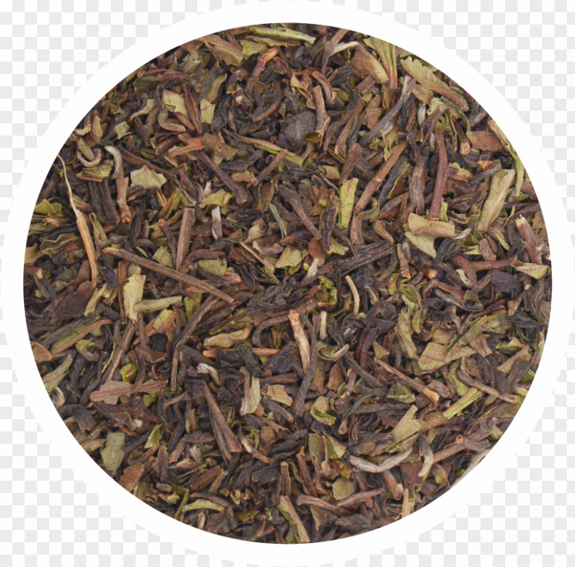 Tea Leaves Zabulistan Kabulistan Greater Khorasan Bactria PNG