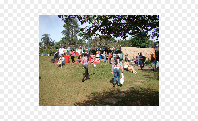 Tree Picnic Walking Landscape Leisure PNG