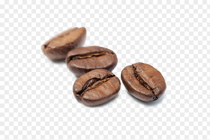 Water Coffee Jamaican Blue Mountain Cocoa Bean Caffeine Commodity Cacao Tree PNG
