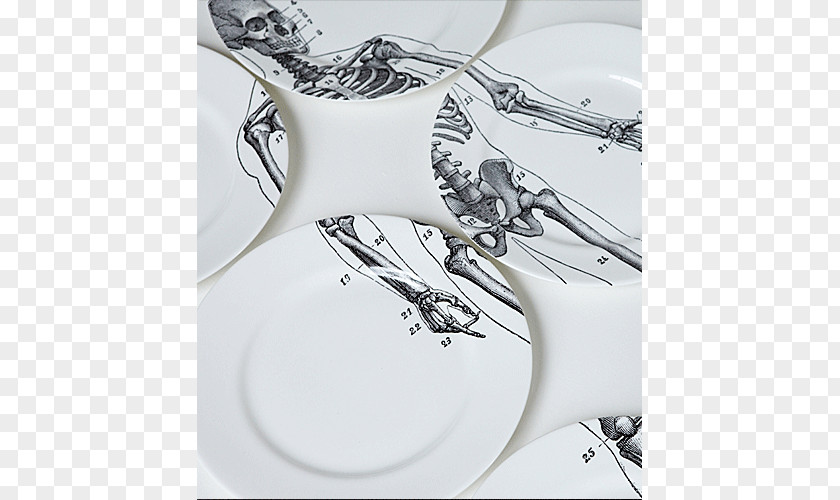 Chinese Bones Plate Tableware Bone China Table Service Household Silver PNG