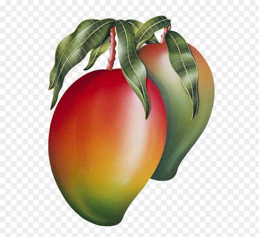 Delicious Mango Tomato Fruit Painting Vegetable PNG