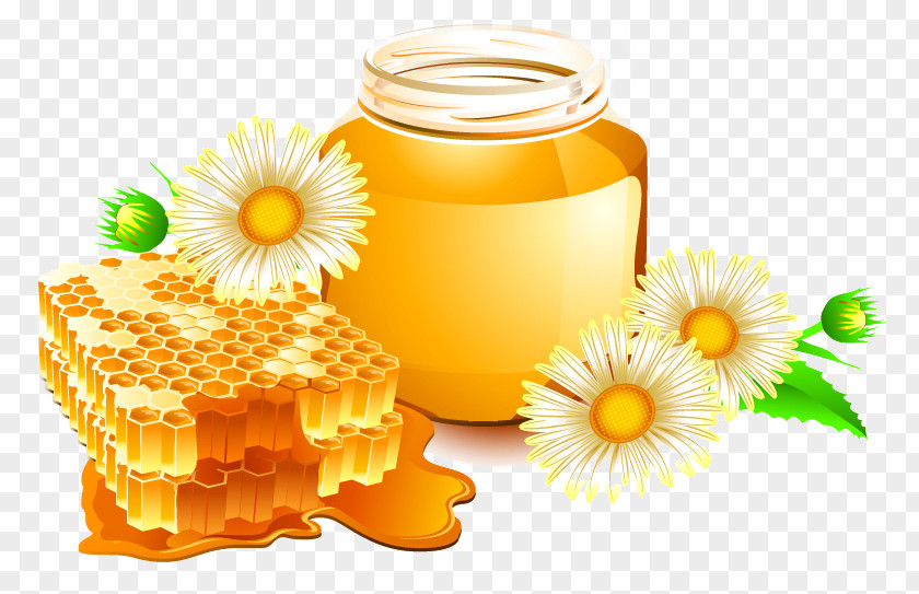 Honey Bee Honeycomb PNG