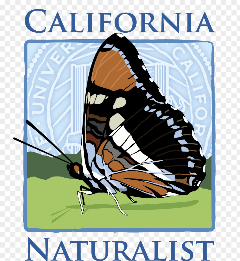 Local Edition Point Reyes National Seashore Nature Pacific PlateCamp Ocean Pines Monarch Butterfly California Naturalist PNG