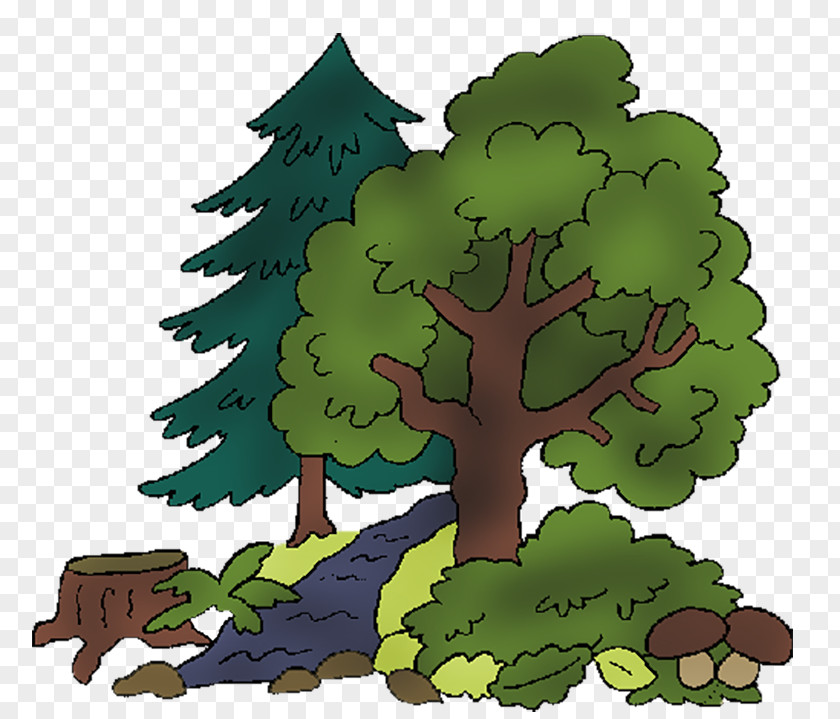 Mixed Forest Drawing Image Coloring Book Painting PNG