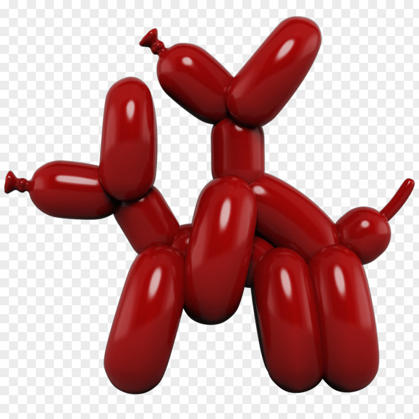 Toy Balloon Dog Designer Artist PNG