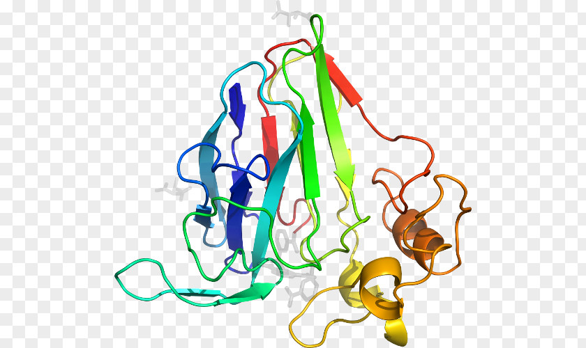 Phospholipase A2 Sequence Thaumatin Atom Recreation Clip Art PNG