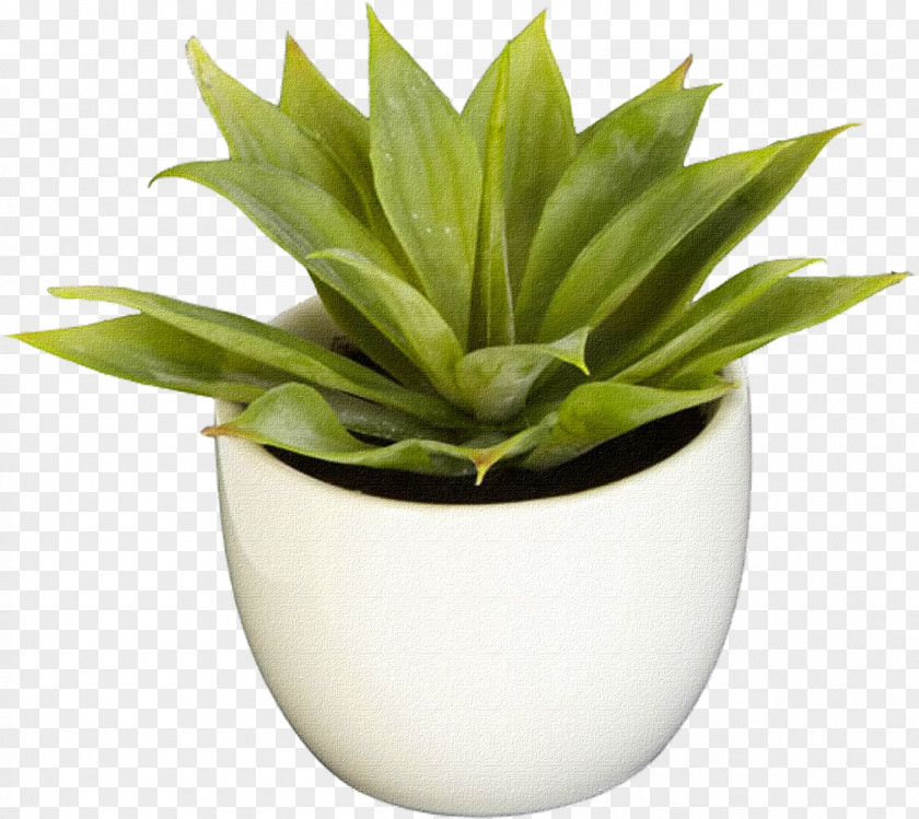 Pot Plant Nearly Natural, Inc. Natural Southwest Collection Agave Succulent Plants PNG