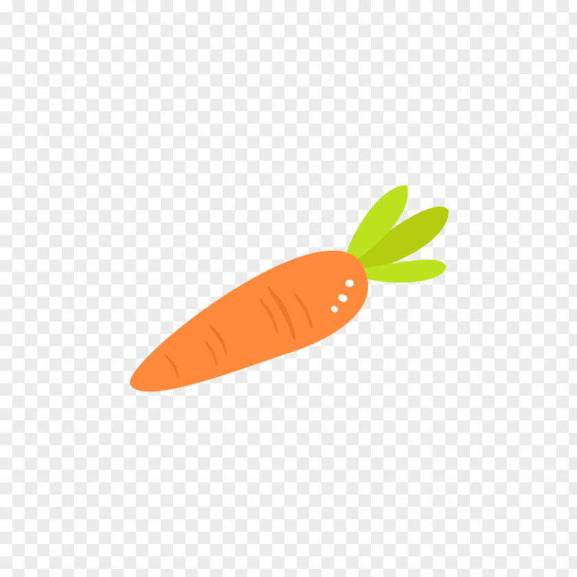 Red And Green Carrots Carrot Orange PNG