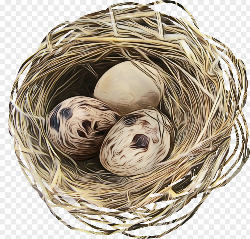 Thread Nest Bird PNG
