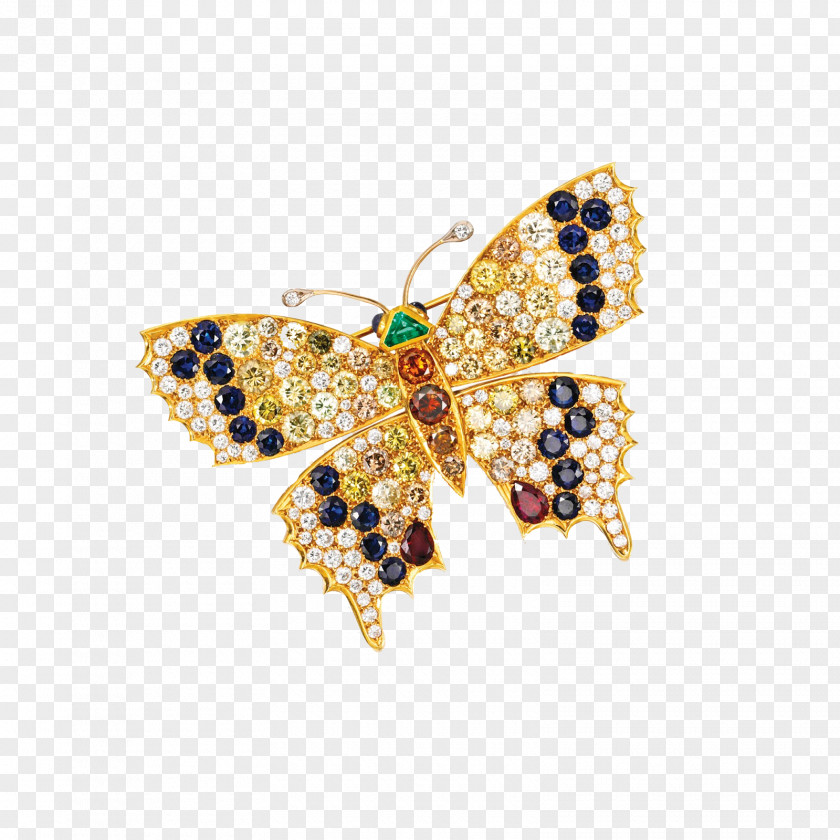 Butterfly Frame Jewellery Brooch Gemstone Gold PNG