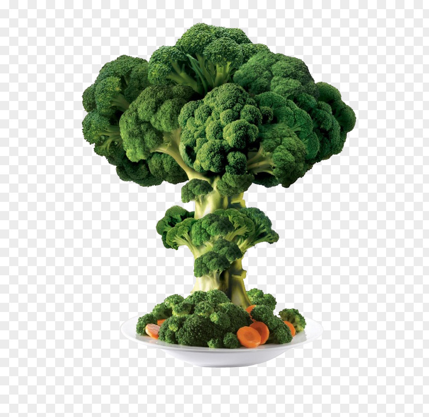 Creative Broccoli Vegetable PNG