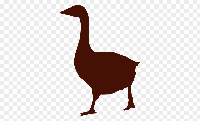 DUCK Daisy Duck Goose Silhouette Cygnini PNG