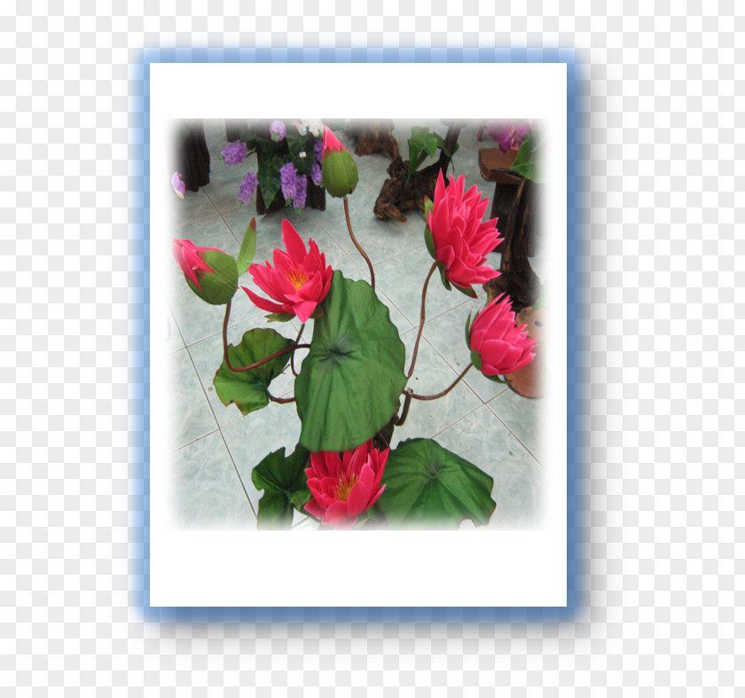 Flower Garden Roses Artificial Floral Design Cabbage Rose PNG