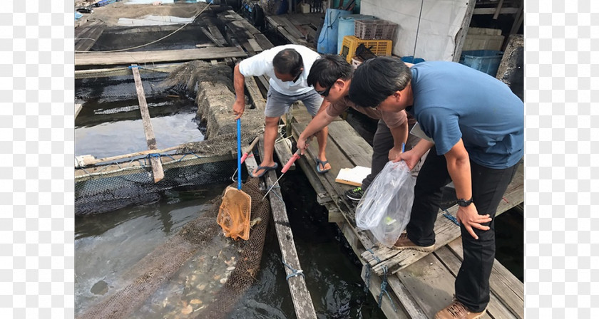 Oil Slick Pipe Laborer PNG