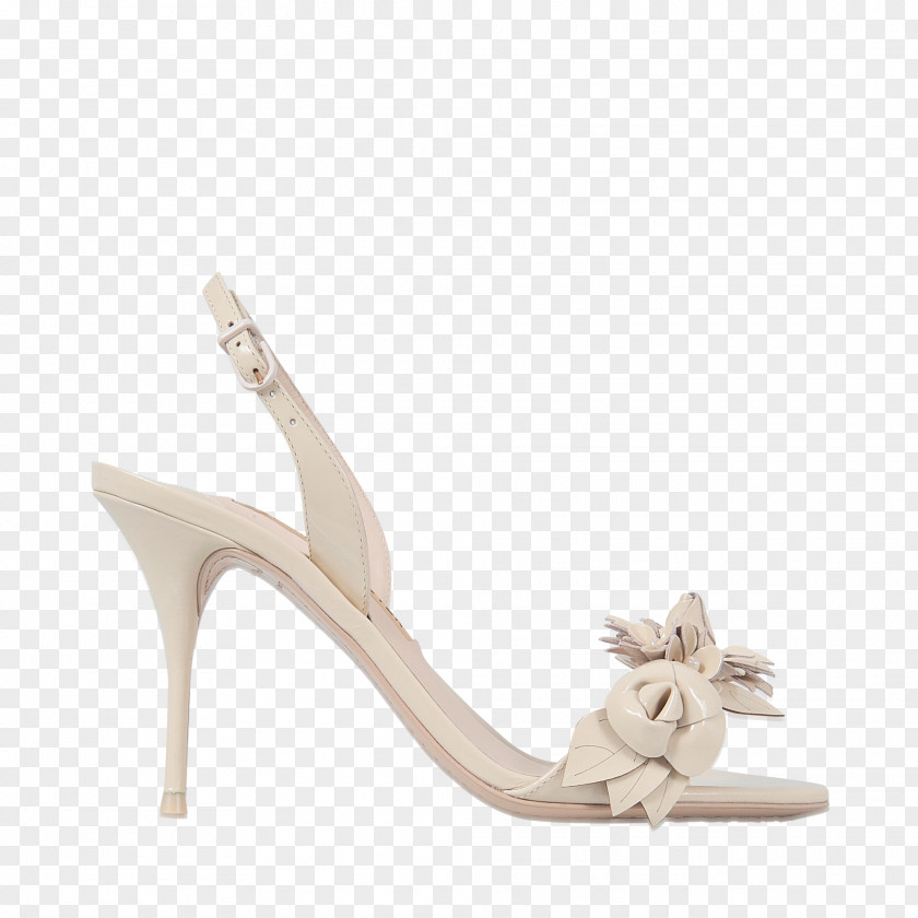 Sandal Slingback Court Shoe Wallet PNG