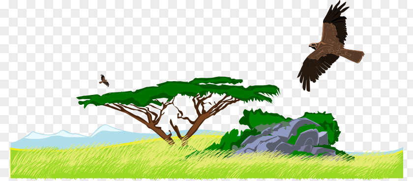 Savanna Jungle Clip Art PNG