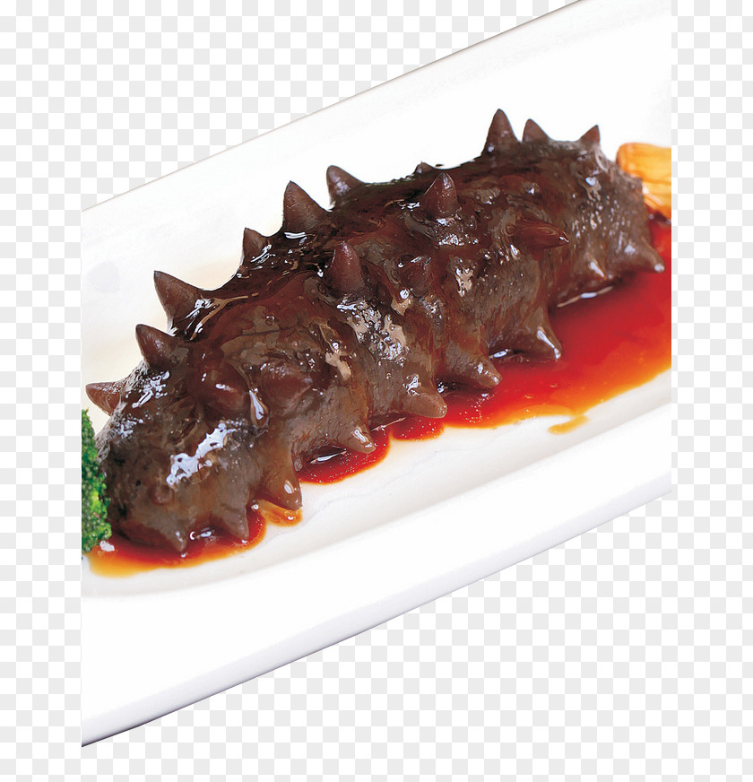 Sea Cucumber As Food Seafood PNG