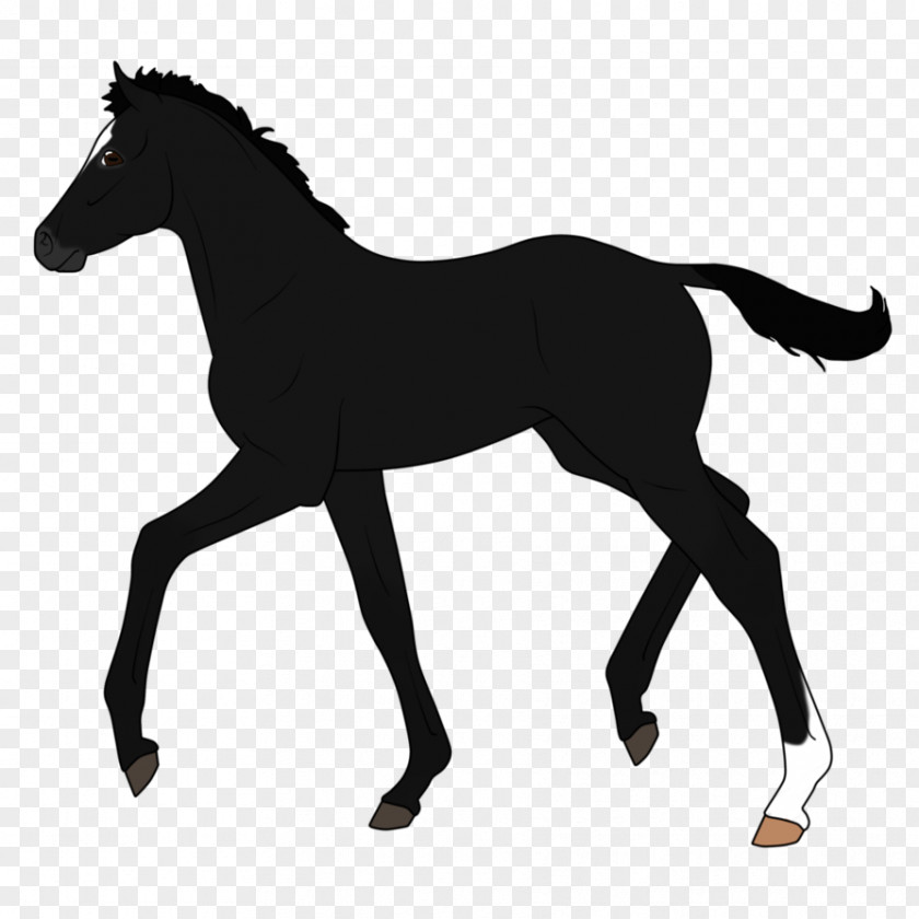 Silhouette Dutch Warmblood Pony Stallion Mare PNG
