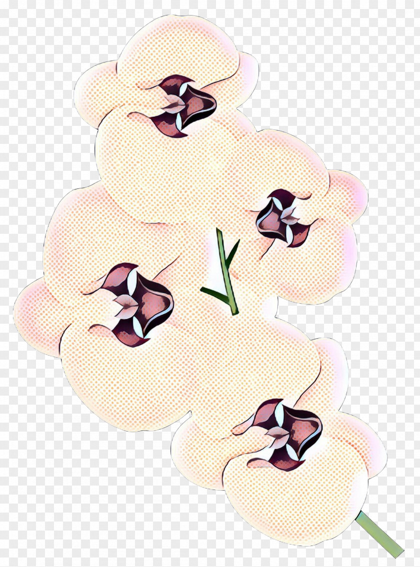 Orchids Clip Art Transparency Free Content PNG