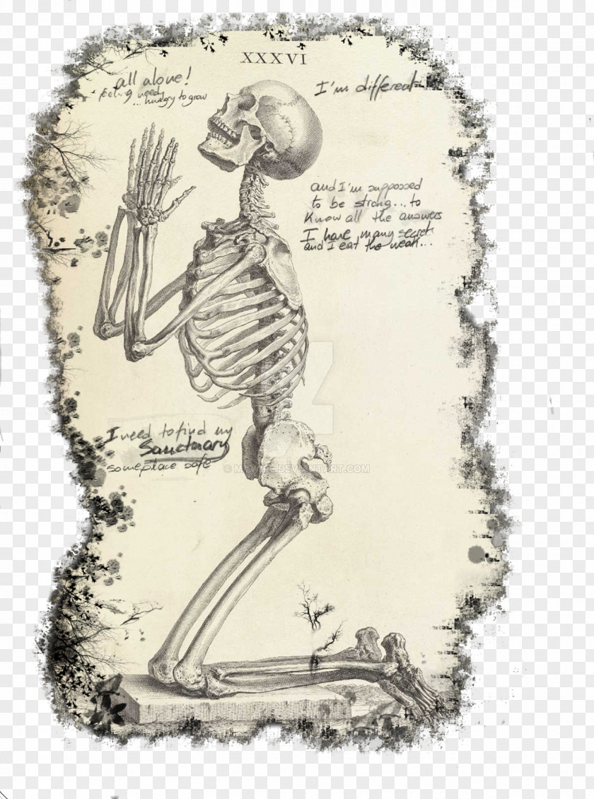 Skeleton Praying Hands The Anatomy Of Human Body De Humani Corporis Fabrica Libri Septem Prayer PNG