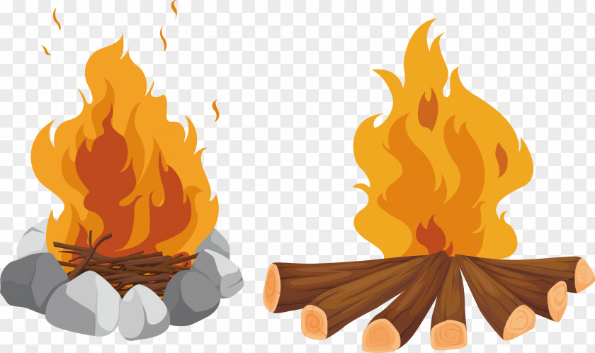 Vector Firewood PNG