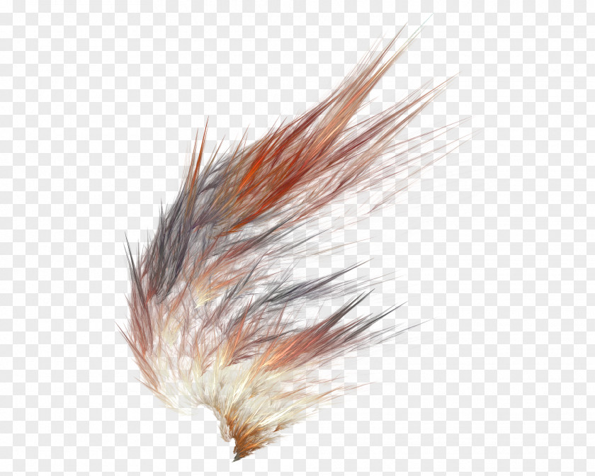 Abstract Feather Dark Brown PNG
